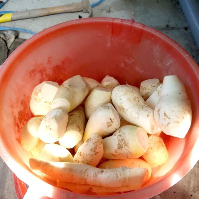 福田農場
菜頭粿