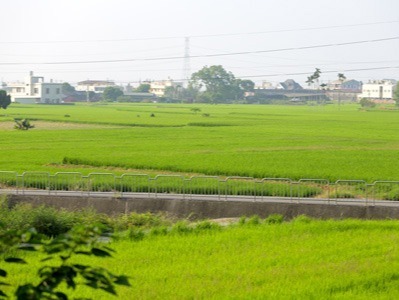 福田農場