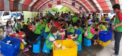 迎媽祖保平安，做志工護地球