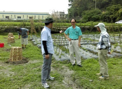 豐穀的開心農場
福田農場