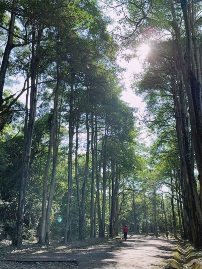 三汀山小百岳